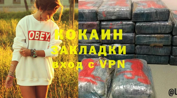 индика Кинешма