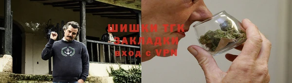 индика Кинешма