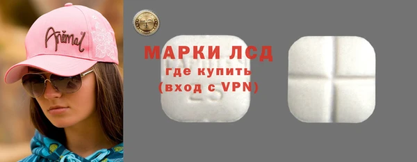 индика Кинешма