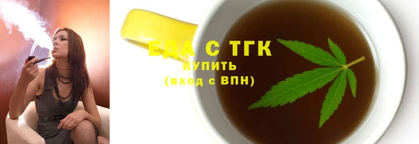 индика Кинешма
