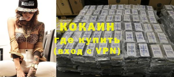 индика Кинешма