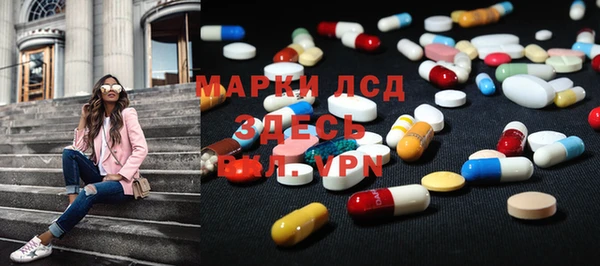 индика Кинешма