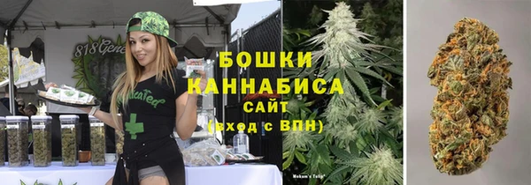 индика Кинешма