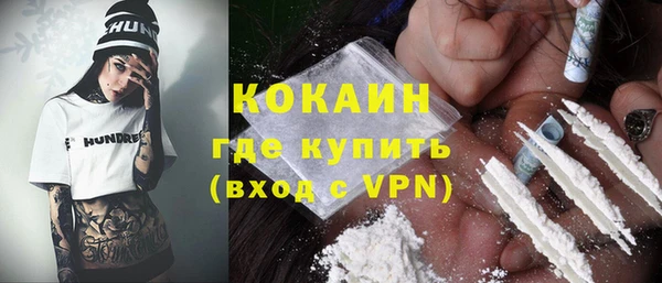 индика Кинешма