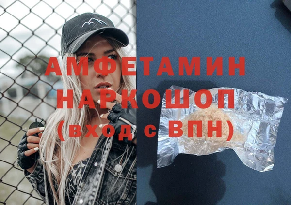 индика Кинешма