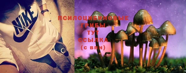 индика Кинешма