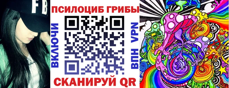 OMG зеркало  Печоры  Псилоцибиновые грибы Psilocybe 